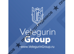 Velegurin Group